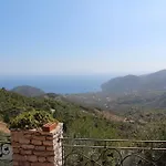 Vino