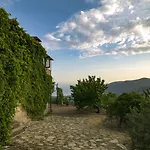 Vino *