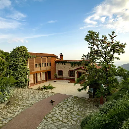 Panzió Vino Mesudiye