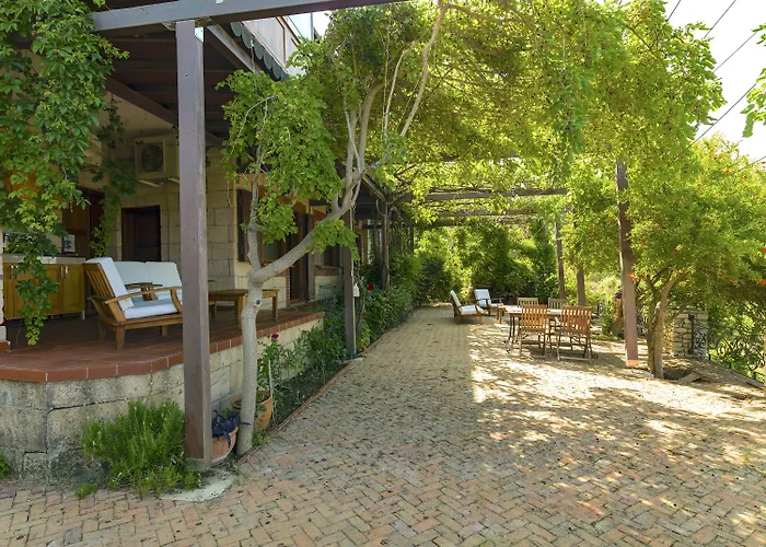 Vino Bed & Breakfast