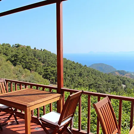 Bed & Breakfast Vino