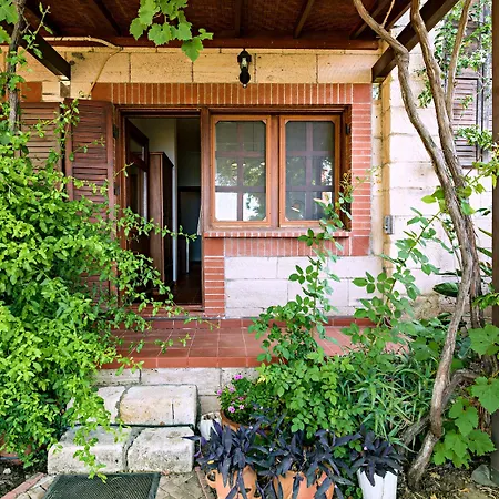 Vino Bed & Breakfast