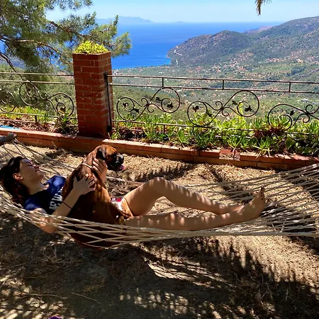 Vino Bed and Breakfast