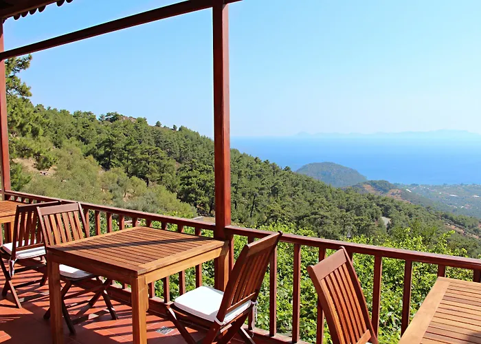 Alojamento de Acomodação e Pequeno-almoço Vino