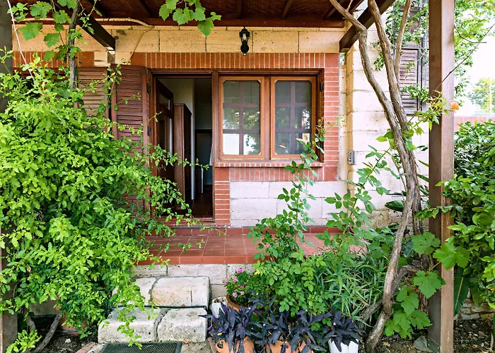 Vino Alojamento de Acomodação e Pequeno-almoço