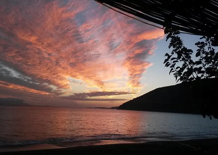 Bed & Breakfast Vino *